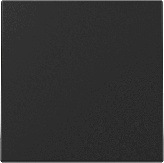 Wipvlakplaat universeel wissel ZMT 3296005 (Gira)